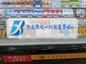 你是我唯一的执着原唱mp3