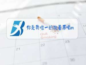 你是我唯一的执着原唱mp3免费下载