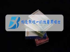 你是我唯一的执着原唱女声版网盘下载