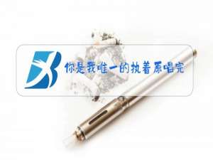 你是我唯一的执着原唱完整版歌词