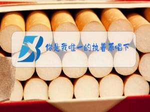 你是我唯一的执着原唱下载