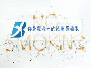 你是我唯一的执着原唱张柏芝