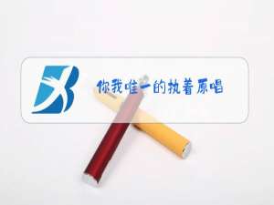 你我唯一的执着原唱