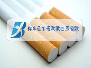 你永远不懂我歌曲原唱歌词歌谱