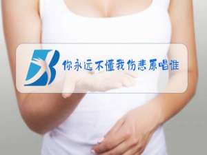 你永远不懂我伤悲原唱谁唱的