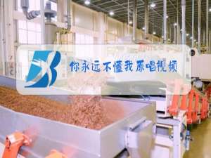 你永远不懂我原唱视频