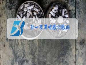 那一夜原唱歌词歌曲