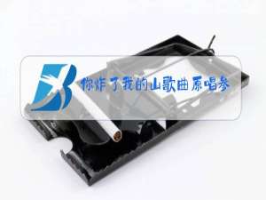 你炸了我的山歌曲原唱参赛