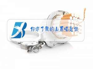 你炸了我的山原唱是谁?