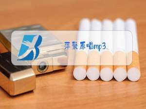萍聚原唱mp3