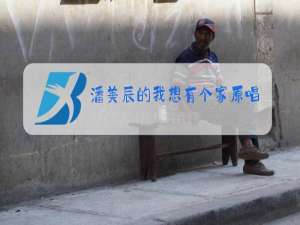 潘美辰的我想有个家原唱