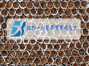 陪你一起看草原原唱乌兰托娅手机铃声