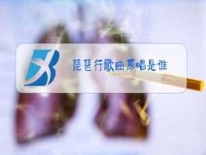 琵琶行歌曲原唱是谁