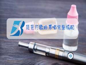 琵琶行歌曲原唱完整版配音