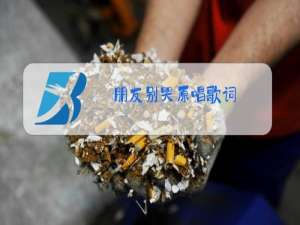 朋友别哭原唱歌词