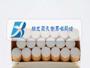 朋友藏天朔原唱简谱