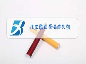 朋友歌曲原唱臧天朔