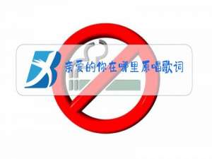 亲爱的你在哪里原唱歌词