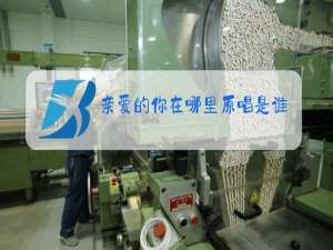 亲爱的你在哪里原唱是谁