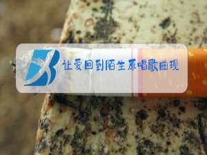 让爱回到陌生原唱歌曲现哥歌词