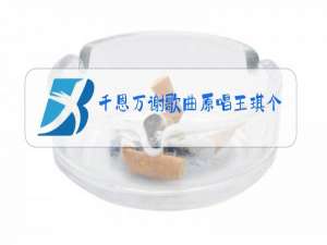 千恩万谢歌曲原唱王琪个人简历