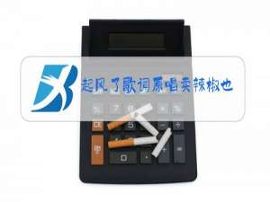 起风了歌词原唱卖辣椒也用券