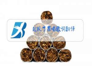 起风了原唱歌词翻译