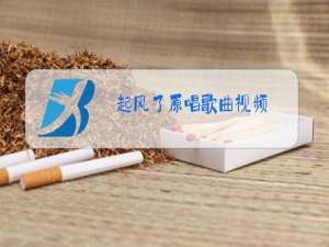 起风了原唱歌曲视频