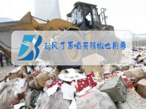 起风了原唱买辣椒也用券是谁