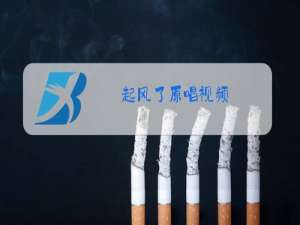起风了原唱视频