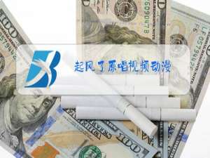 起风了原唱视频动漫