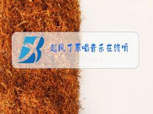 起风了原唱音乐在线听