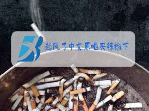 起风了中文原唱买辣椒下载