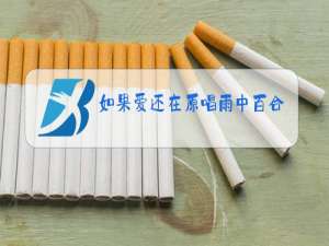 如果爱还在原唱雨中百合mp3