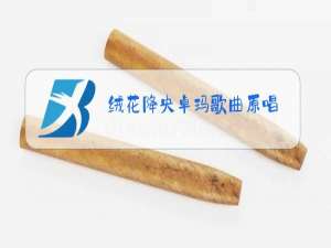 绒花降央卓玛歌曲原唱