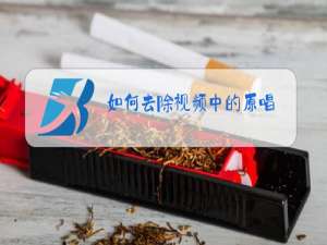 如何去除视频中的原唱