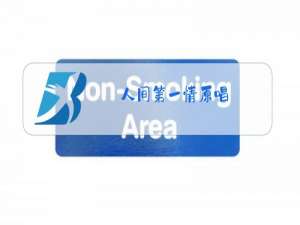 人间第一情原唱