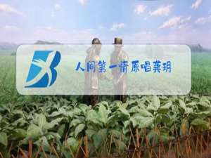 人间第一情原唱龚玥