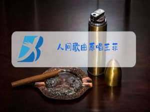 人间歌曲原唱王菲