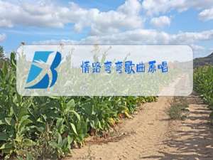 情路弯弯歌曲原唱