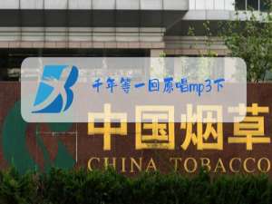 千年等一回原唱mp3下载