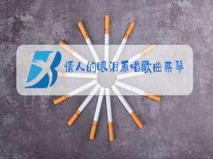 情人的眼泪原唱歌曲蔡琴