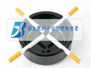 骑上我的小骆驼带你去看日不落原唱铃声