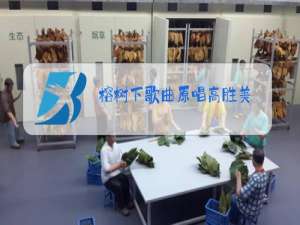 榕树下歌曲原唱高胜美