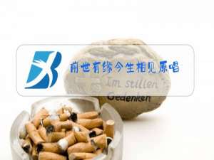 前世有缘今生相见原唱