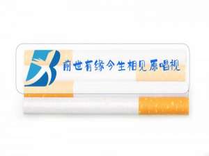 前世有缘今生相见原唱视频