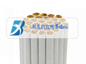 秋天的玫瑰原唱mv