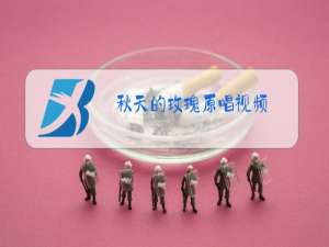秋天的玫瑰原唱视频
