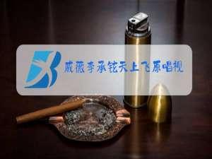 戚薇李承铉天上飞原唱视频