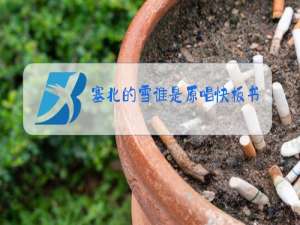 塞北的雪谁是原唱快板书树井架青松岭